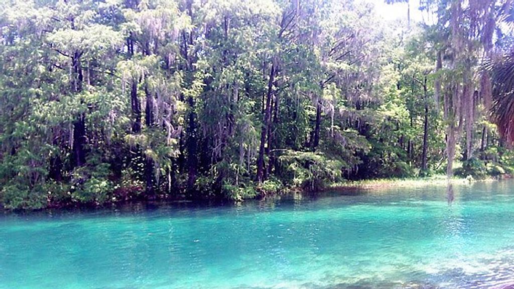 Dunnellon, Florida Vacation Rental Rainbow River Home Rental In KP