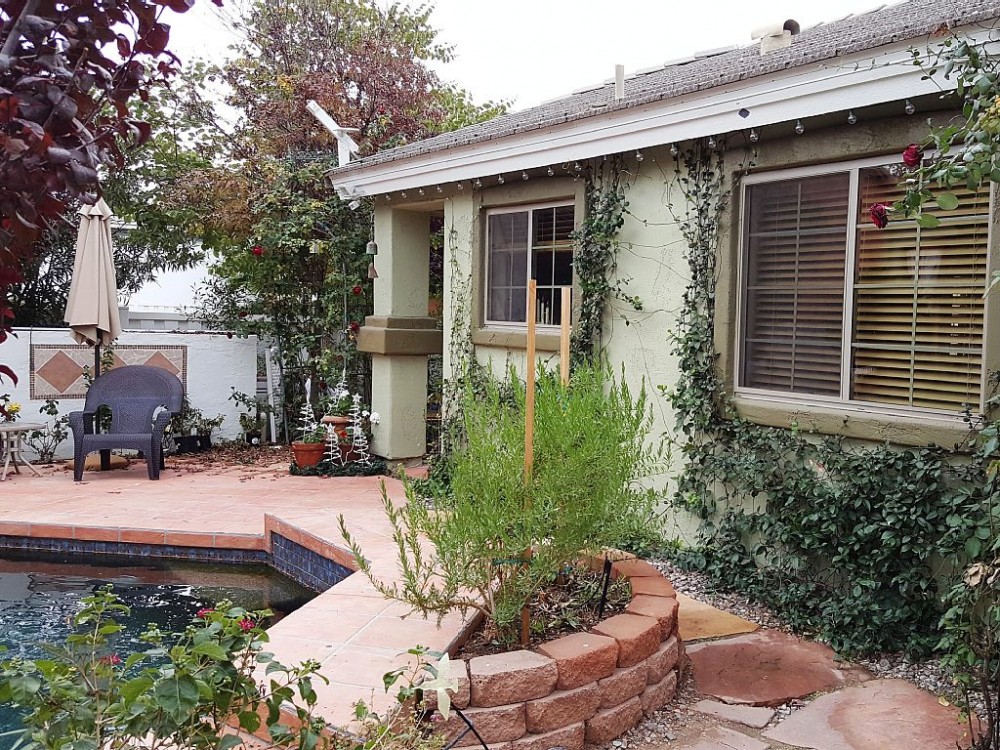 Gilbert vacation rental with Detached Casita behind pool with lush gardens
