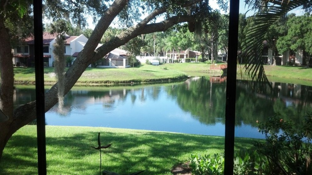 Palm Harbor vacation rental with Living  room view