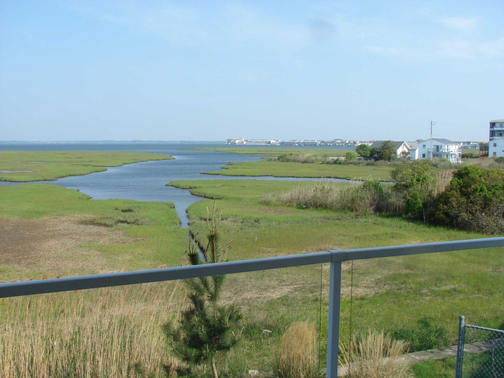 Ocean City vacation rental with