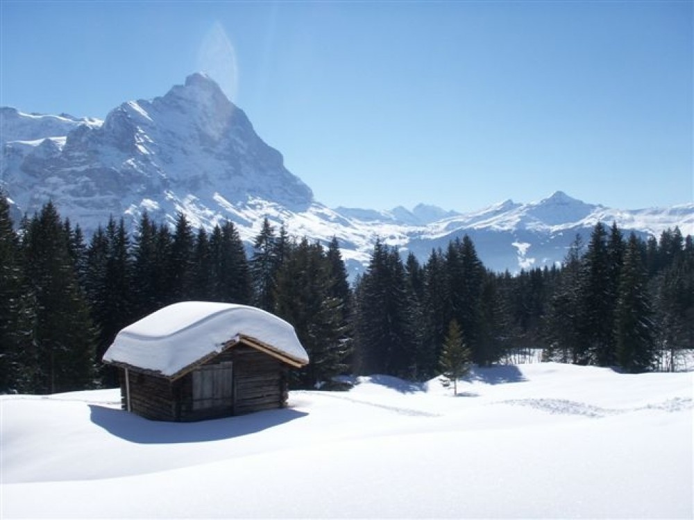 Grindelwald vacation rental with